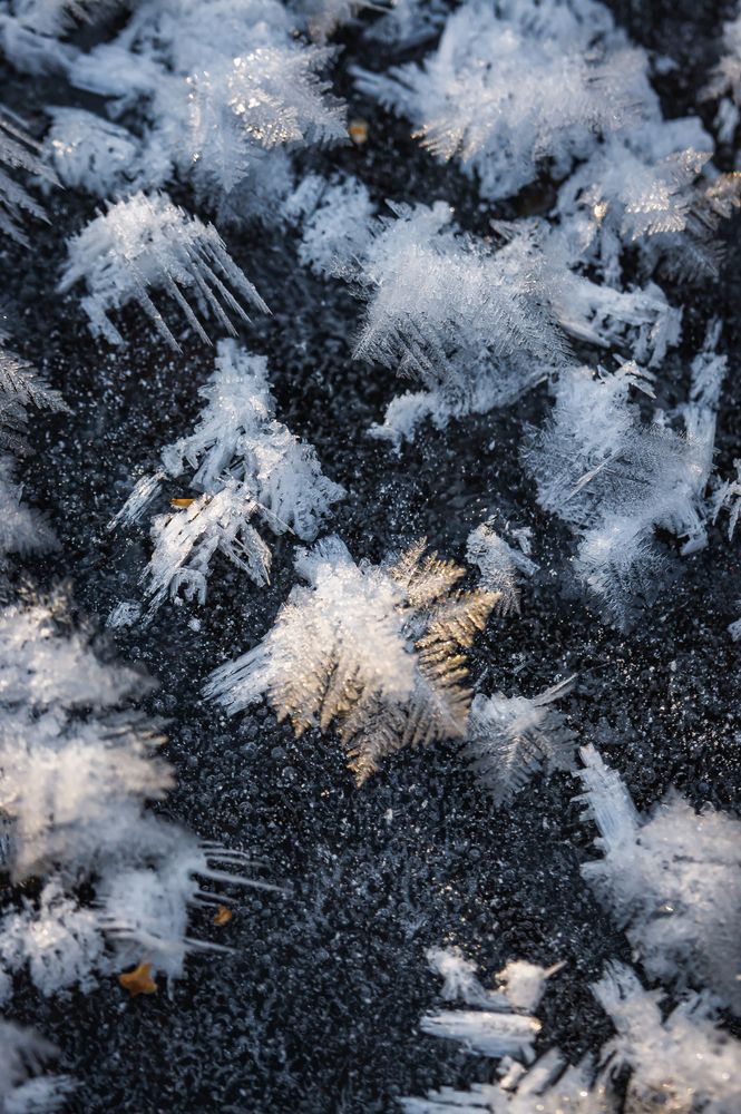 Застывшие снежинки