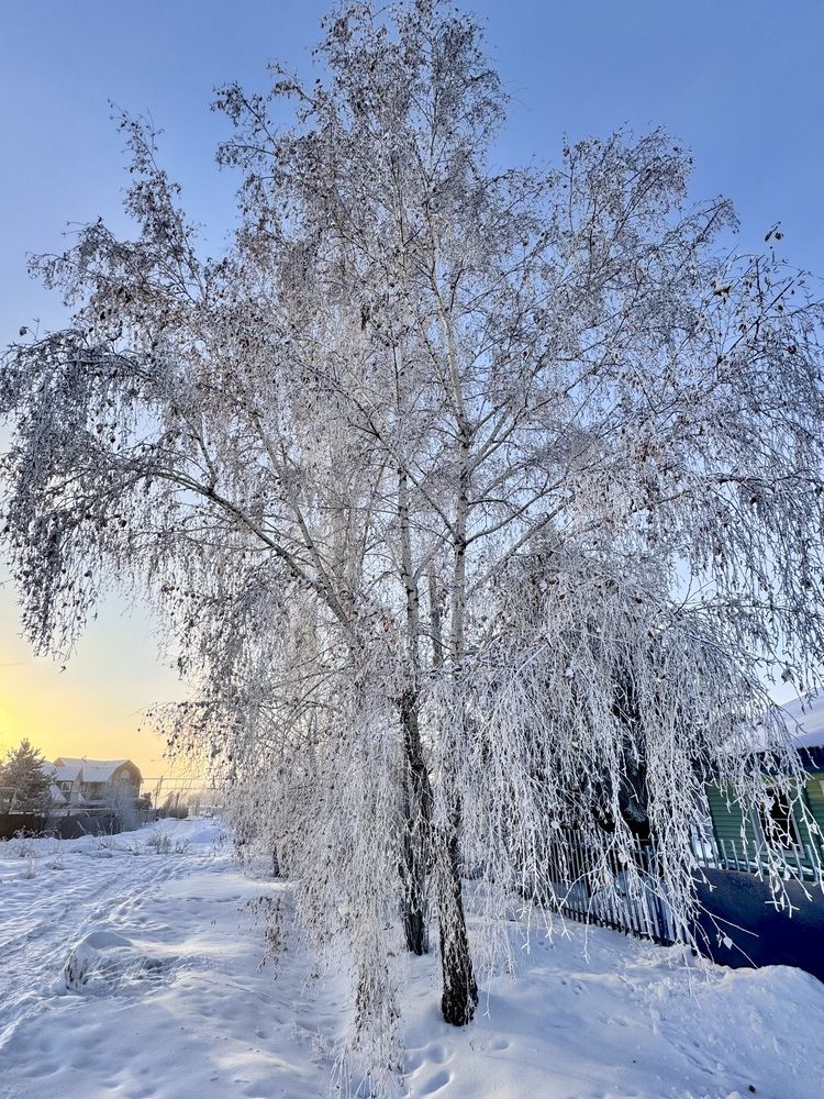 Фотография автора Галина Шиманцова