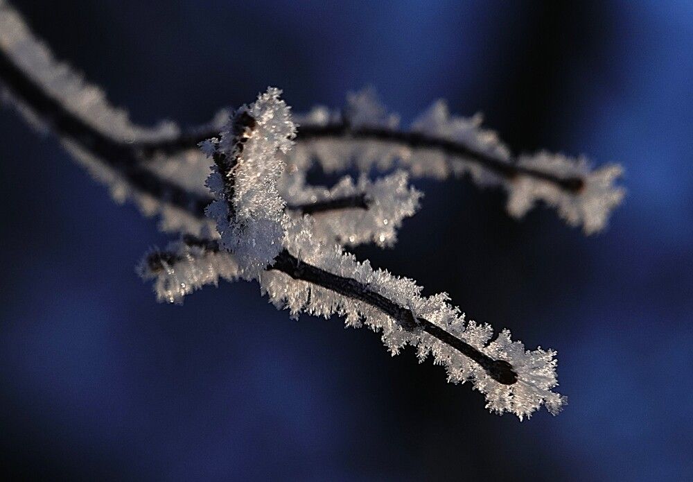 Photograph by Zakharov Matvey