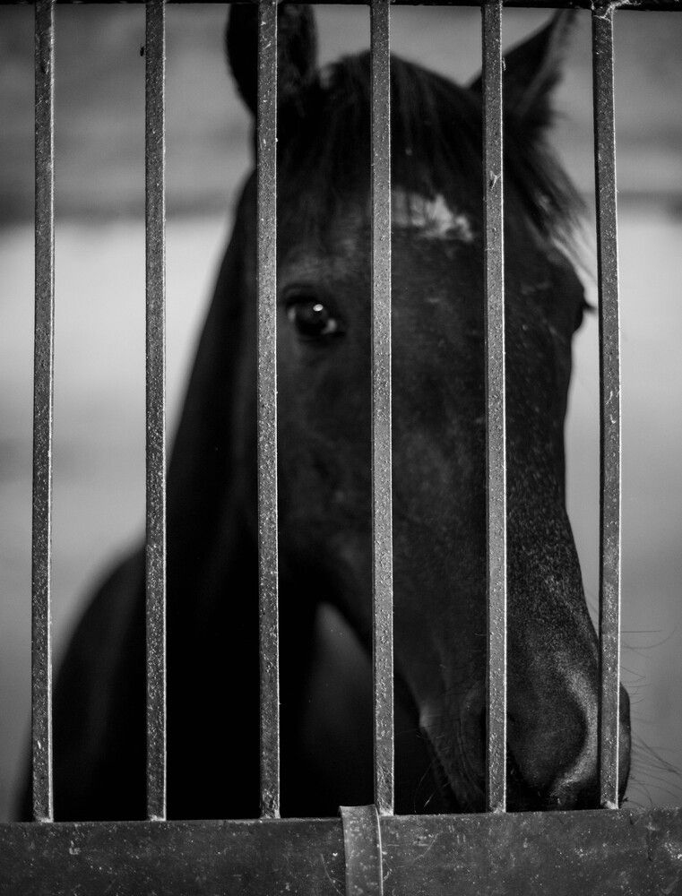 Photograph by Олеся Воробьева