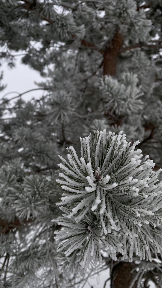 Photograph by Анна Кулакова