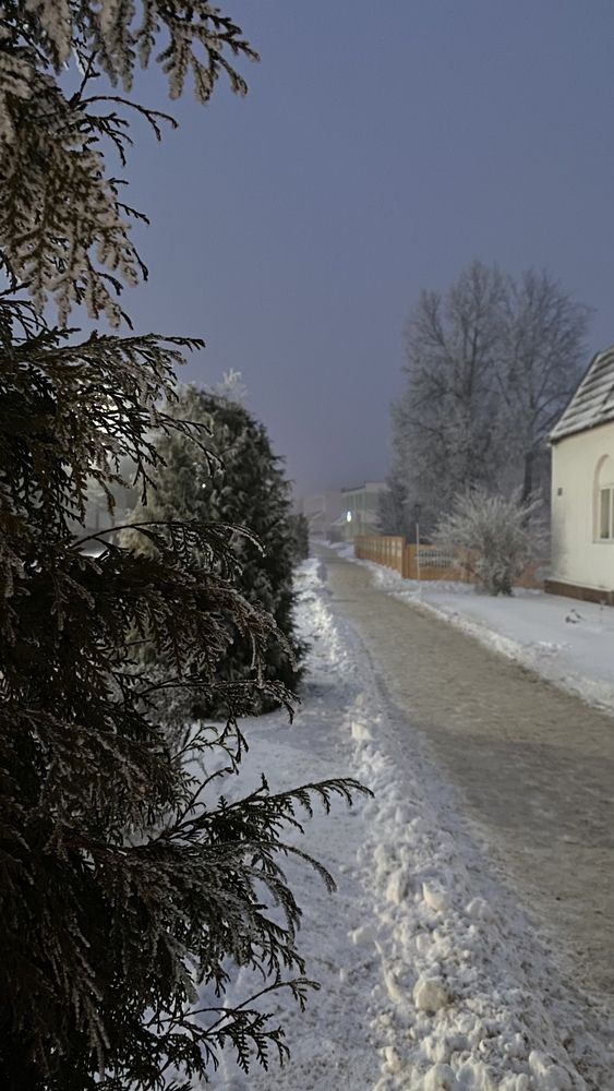 Photograph by Анна Кулакова