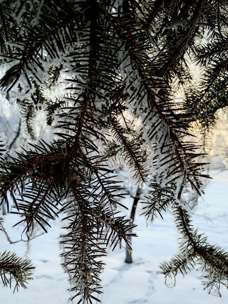 Photograph by Надия Голочалова