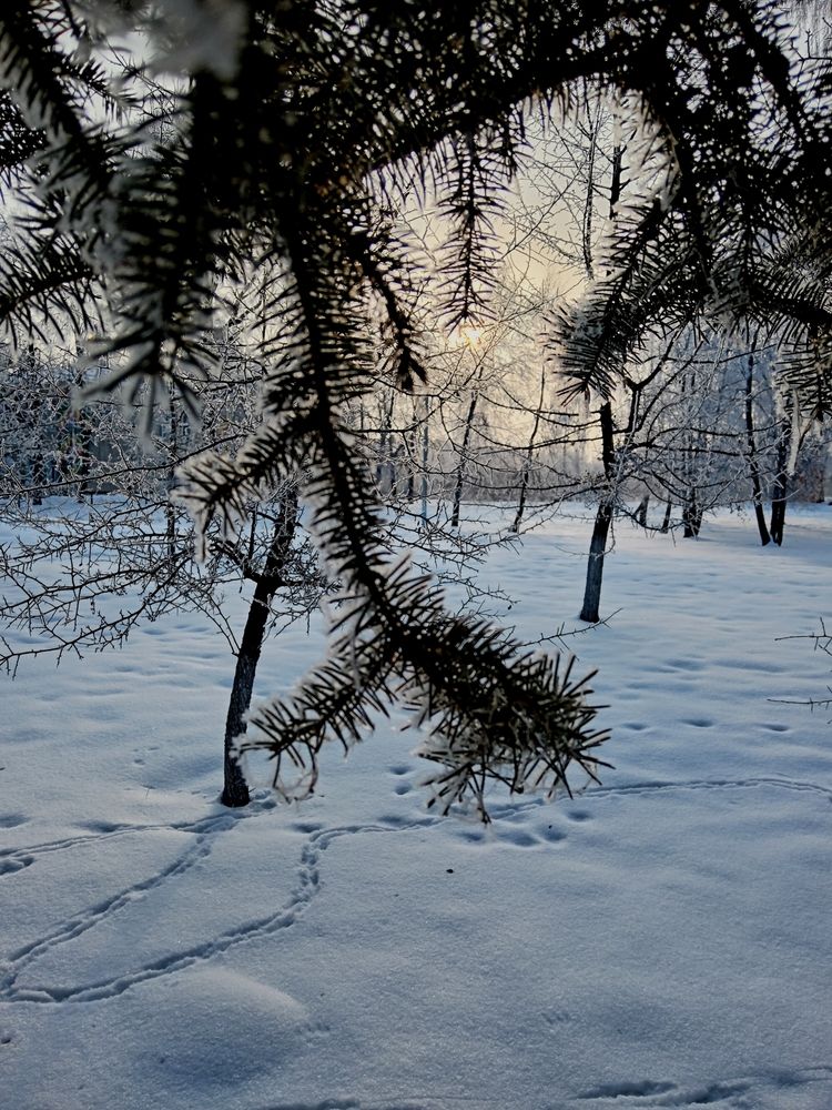Photograph by Надия Голочалова