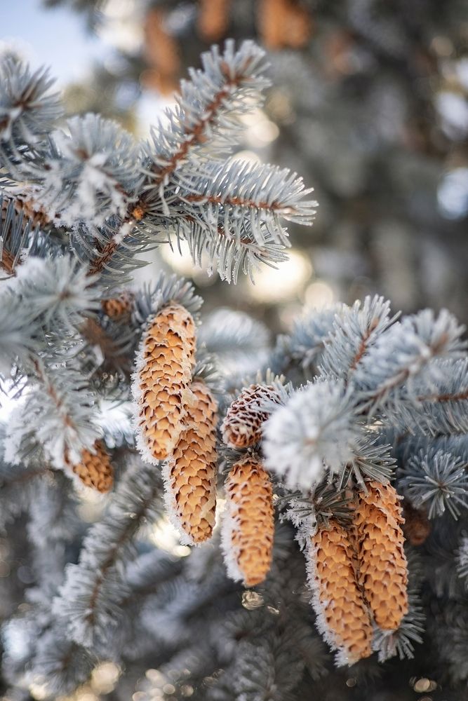 Photograph by Елена Косинова