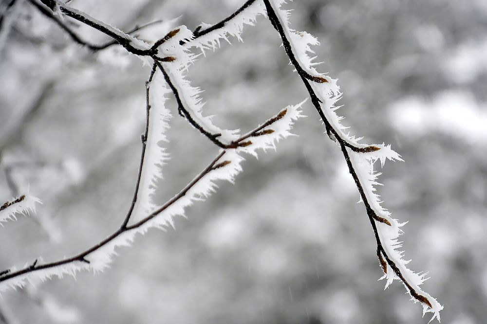 Photograph by Дмитрий Петренко