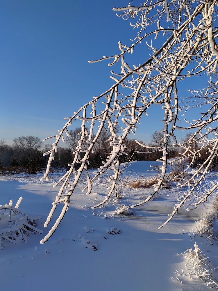 Photograph by Елена