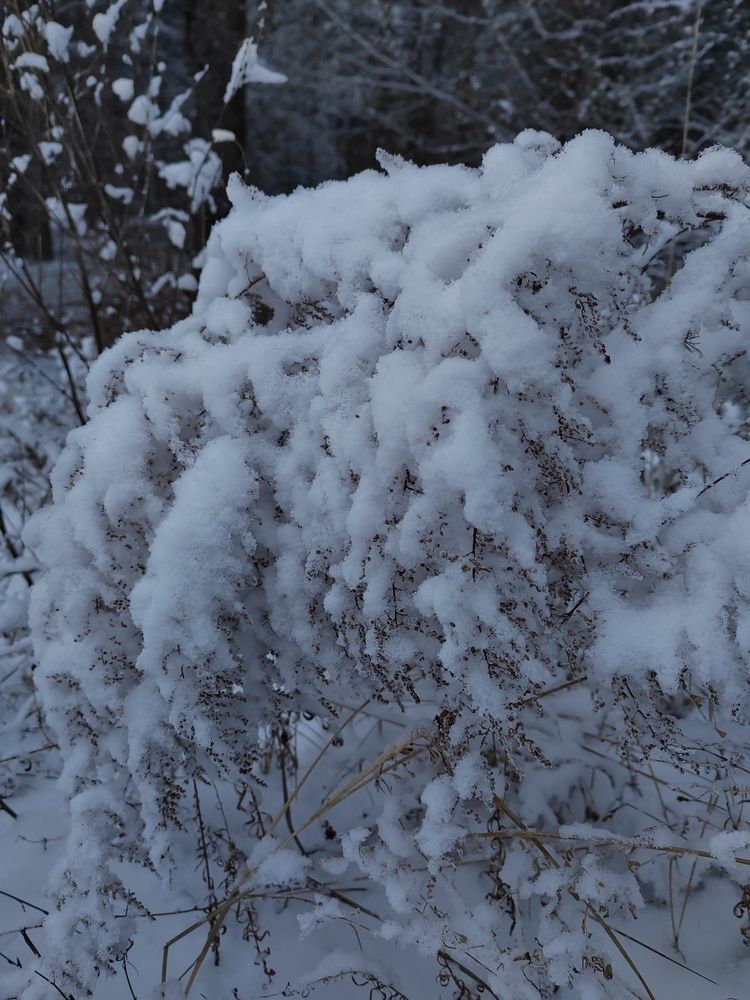 Photograph by Елена