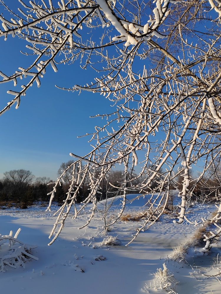 Photograph by Елена