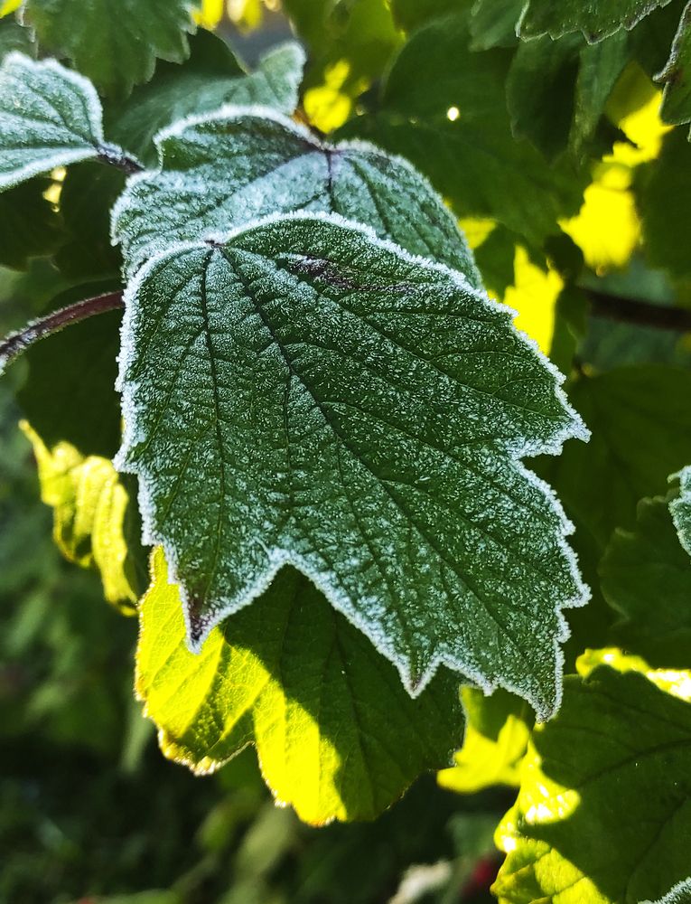 Photograph by Елена Попова