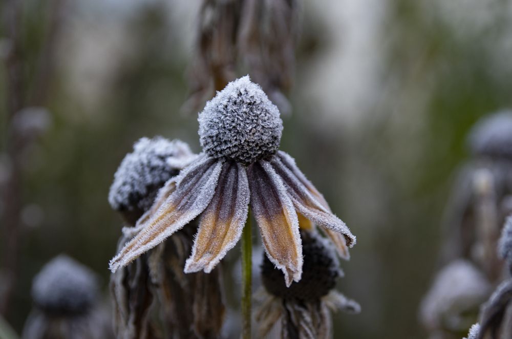 Photograph by Елена Попова