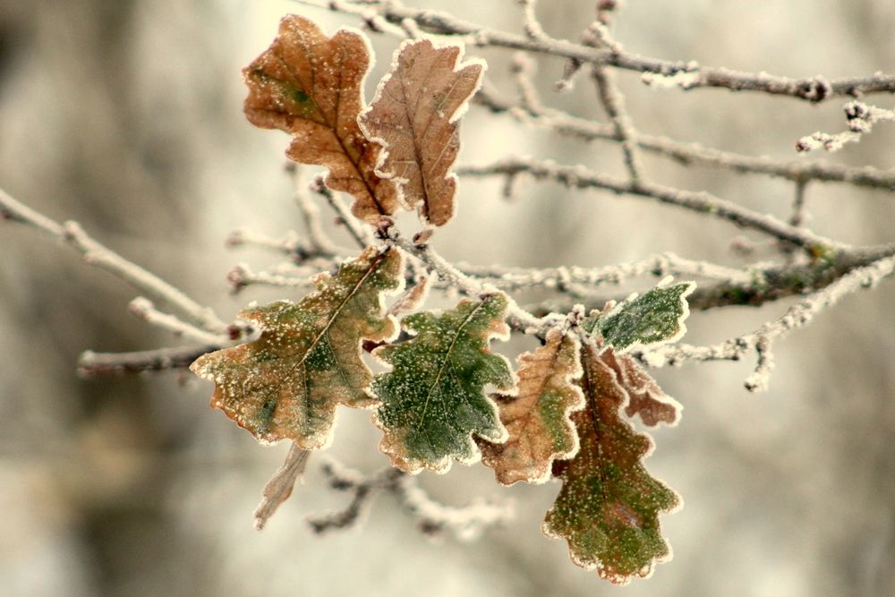 Photograph by Алексей Макаров