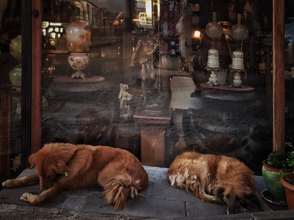 Photograph by fuat cimok