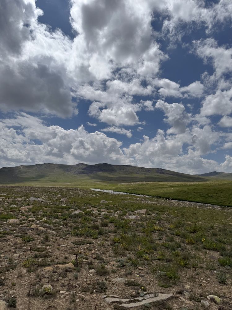 Фотография автора Nasir Hussain