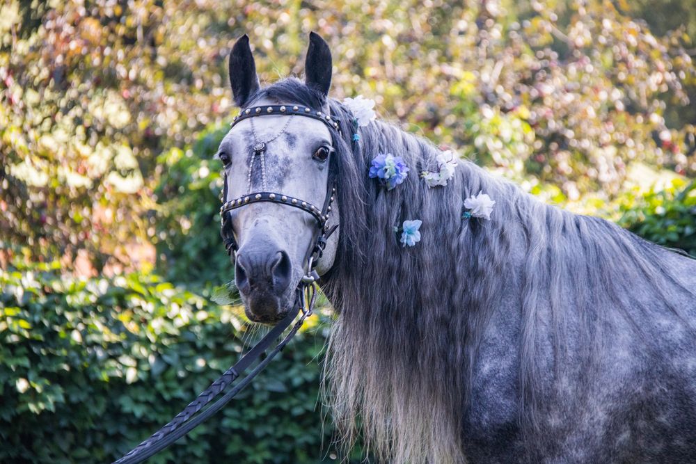 Photograph by Анастасия Григорян