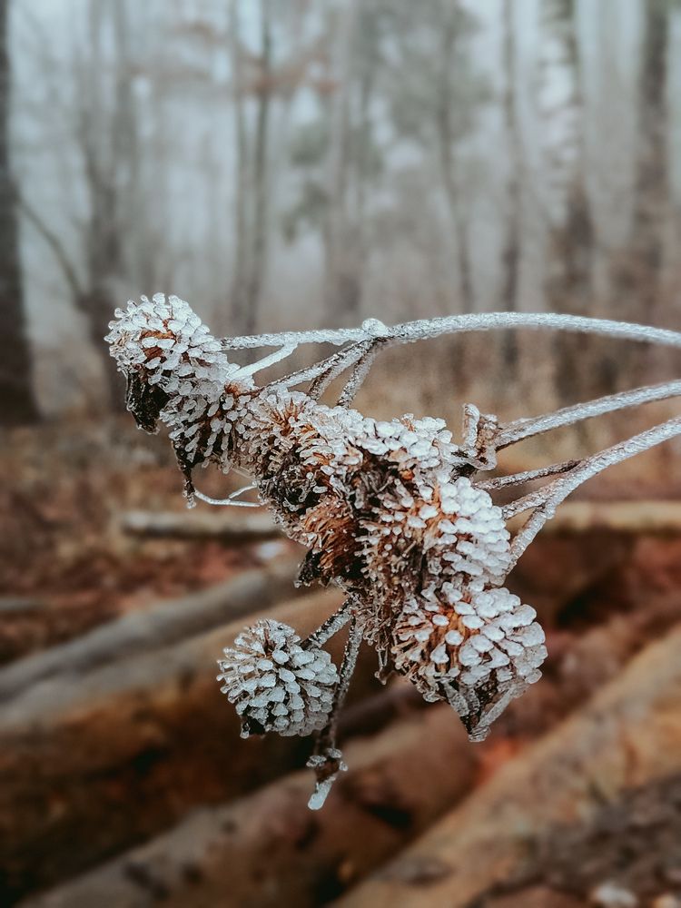 Photograph by Татьяна Пантеева
