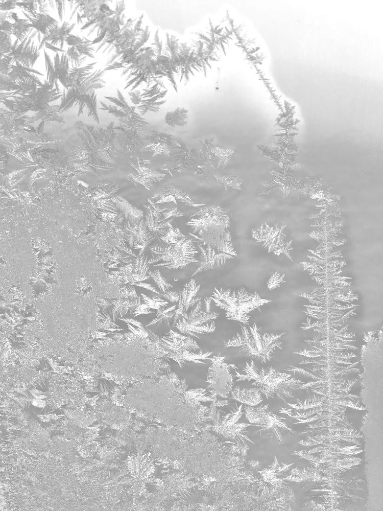 Ледяная гравюра