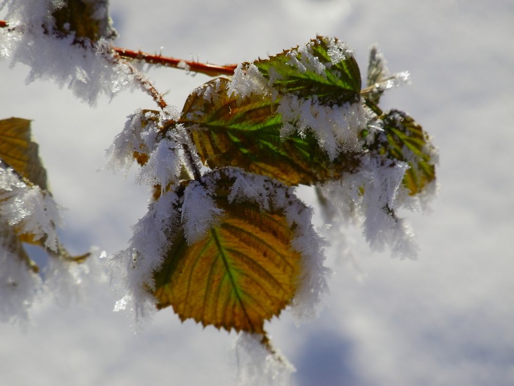 Photograph by Титенкова Нина