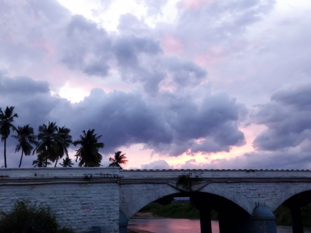 Photo #13009717