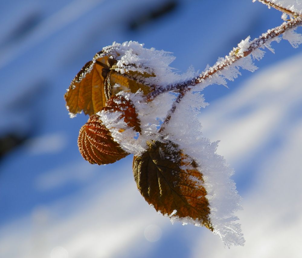 Photograph by Титенкова Нина