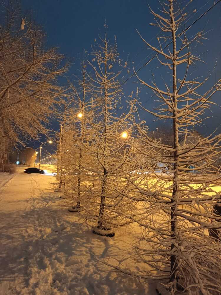 Фотография автора Елена Колышева