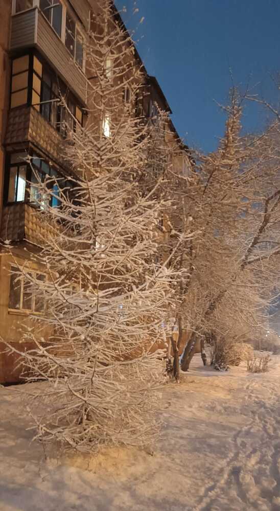 Фотография автора Елена Колышева