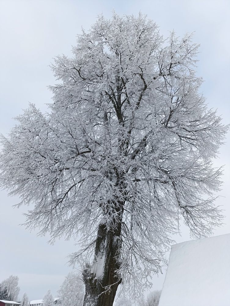 Photograph by Юрий Гордеев