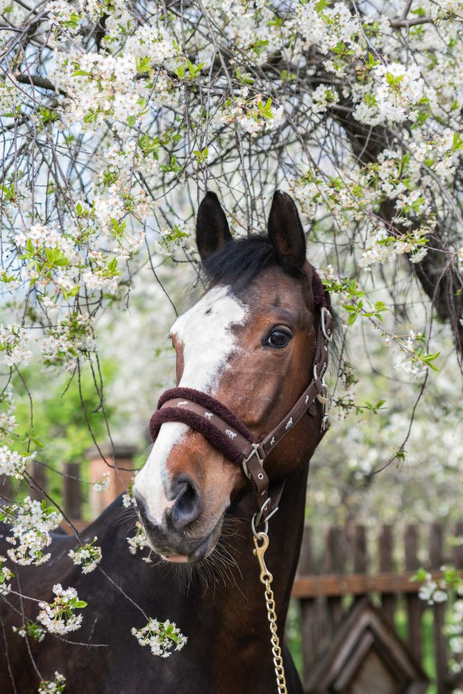 Photograph by Анастасия Григорян