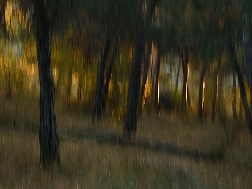 Drunk Man In the Forest.