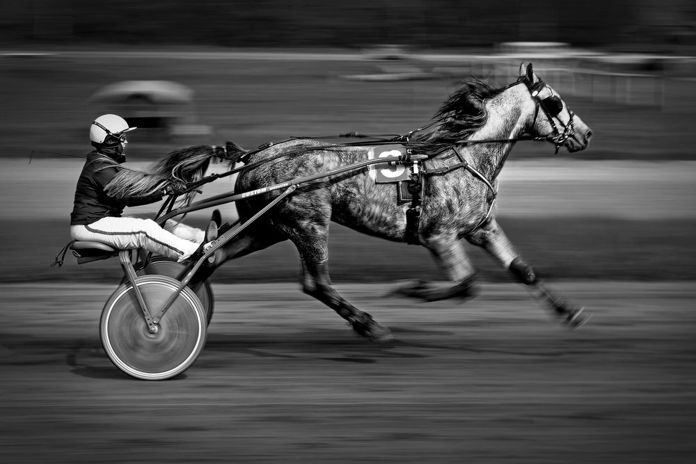 Фотография автора Александр Перегудов