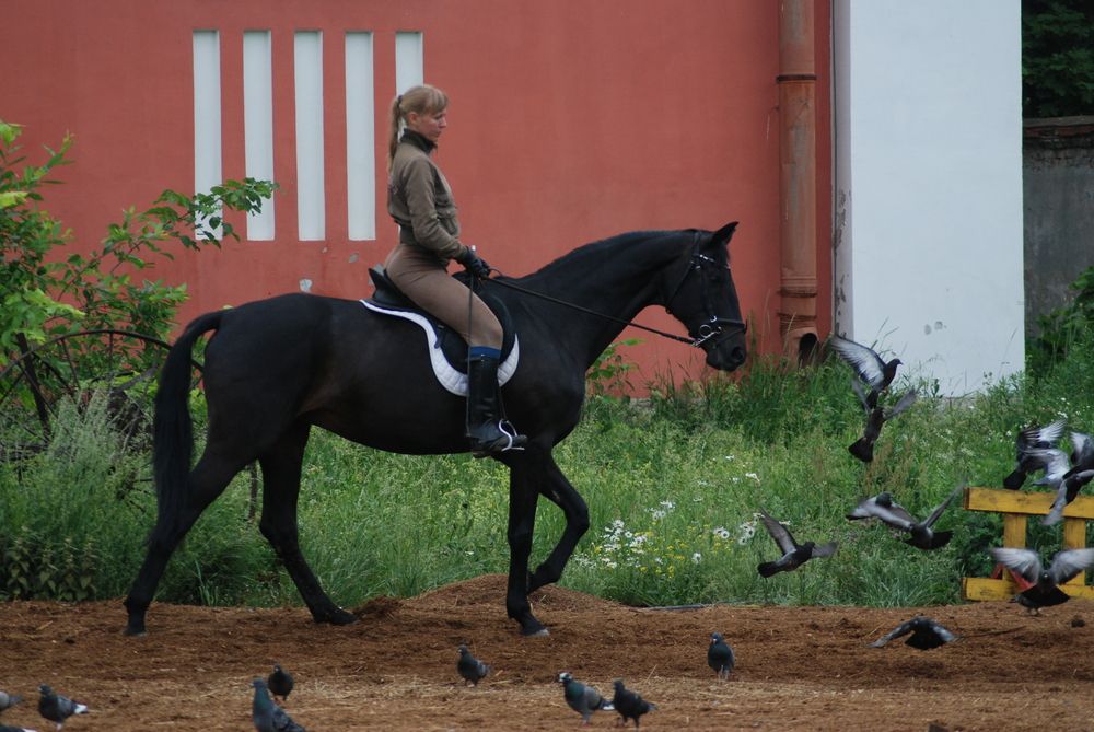 Photograph by Харис Шахмаметьев