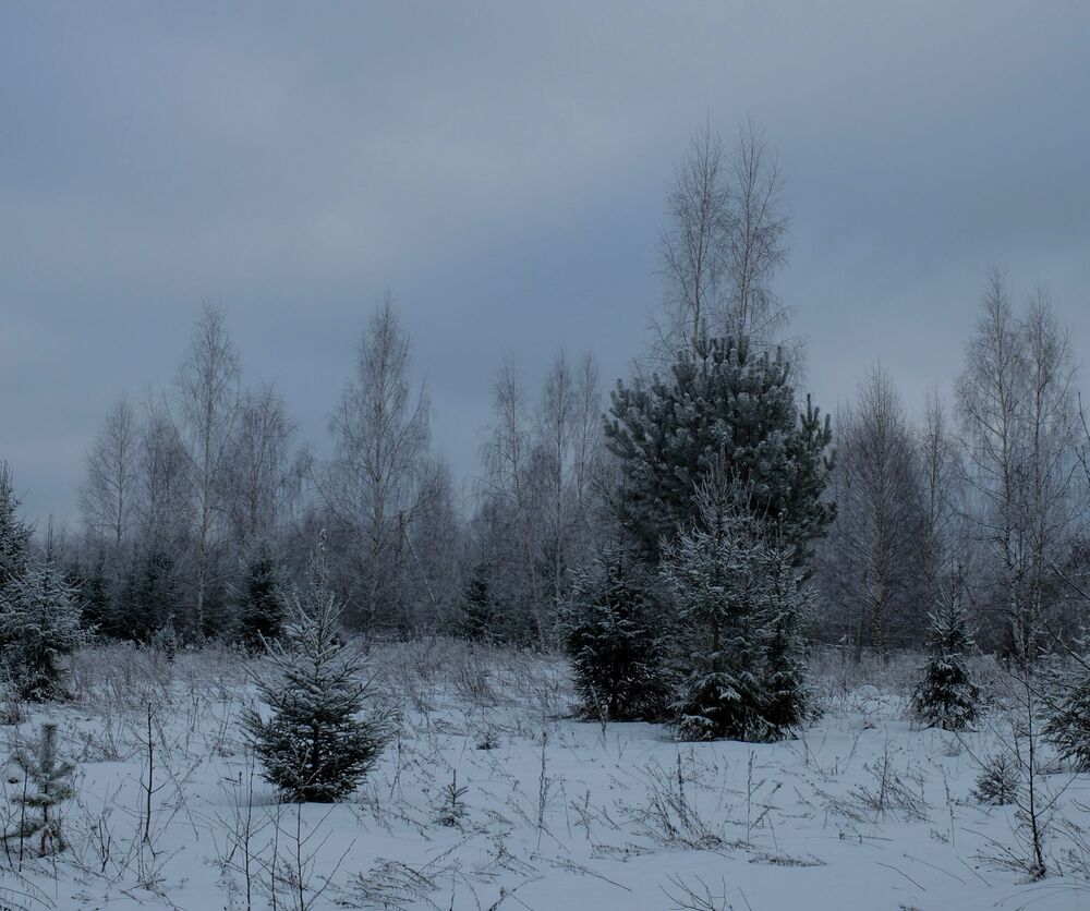 Photograph by Ираида Стародубцева