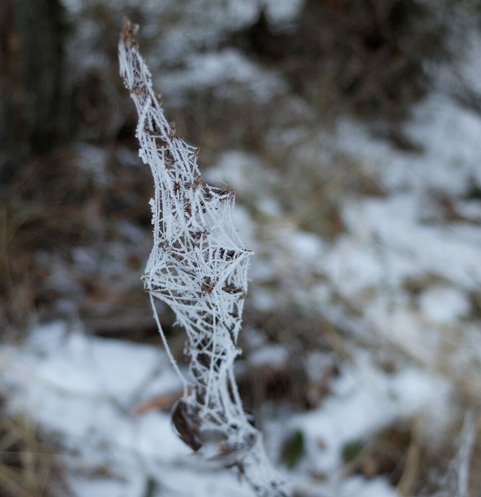 Photograph by Ираида Стародубцева