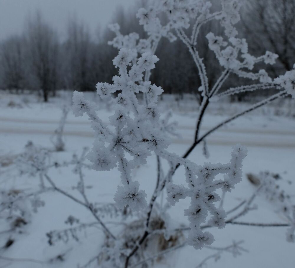 Photograph by Ираида Стародубцева