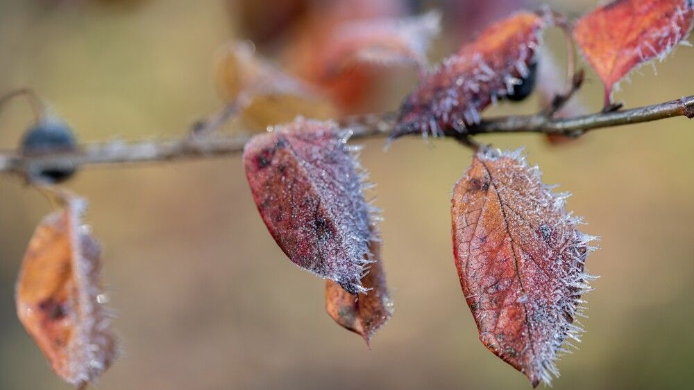 Photograph by Ксения Шилина