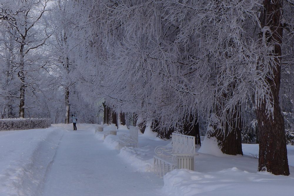 Photograph by Харис Шахмаметьев