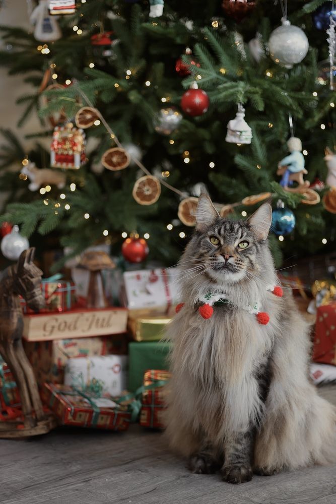 Photograph by Ekaterina Andreassen