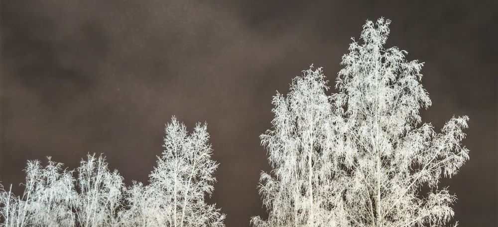 Photograph by Анастасия