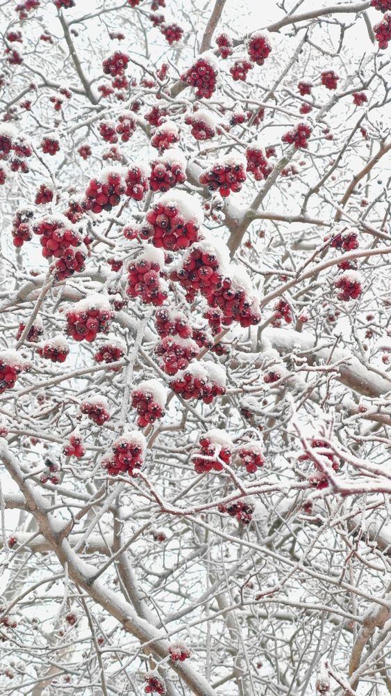 Photograph by Анастасия