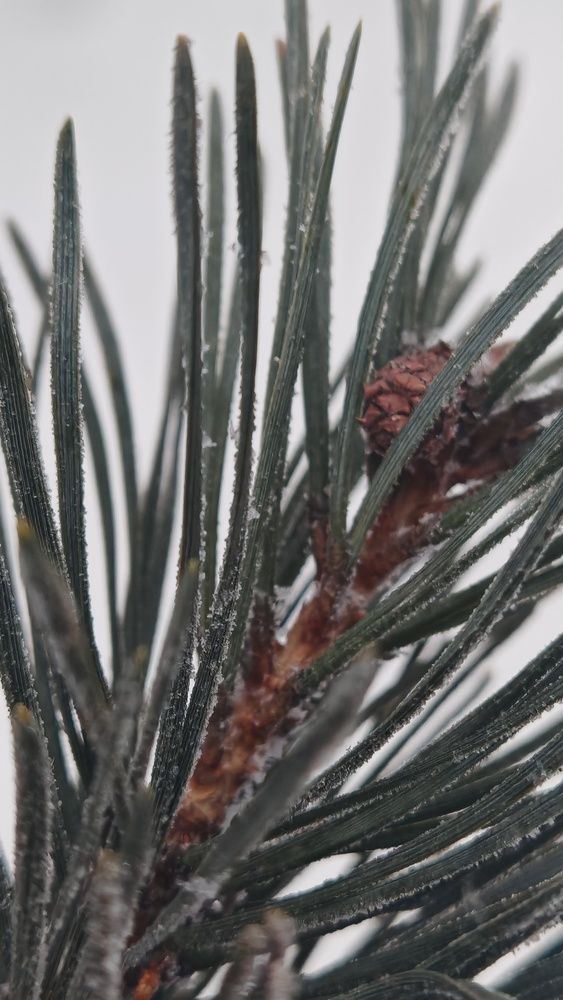 Photograph by Анастасия