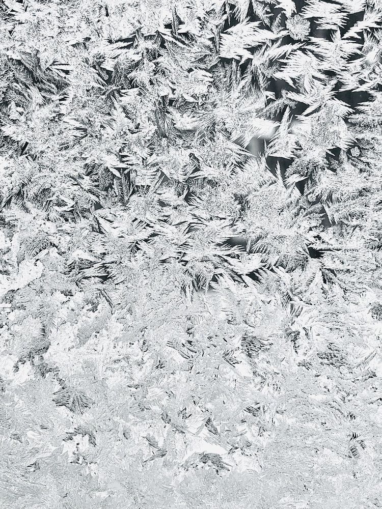 Ледяной ажур