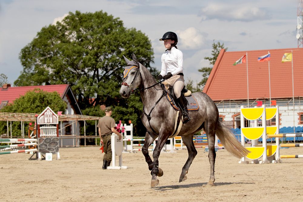Фотография автора Шруб (Беляева) Татьяна