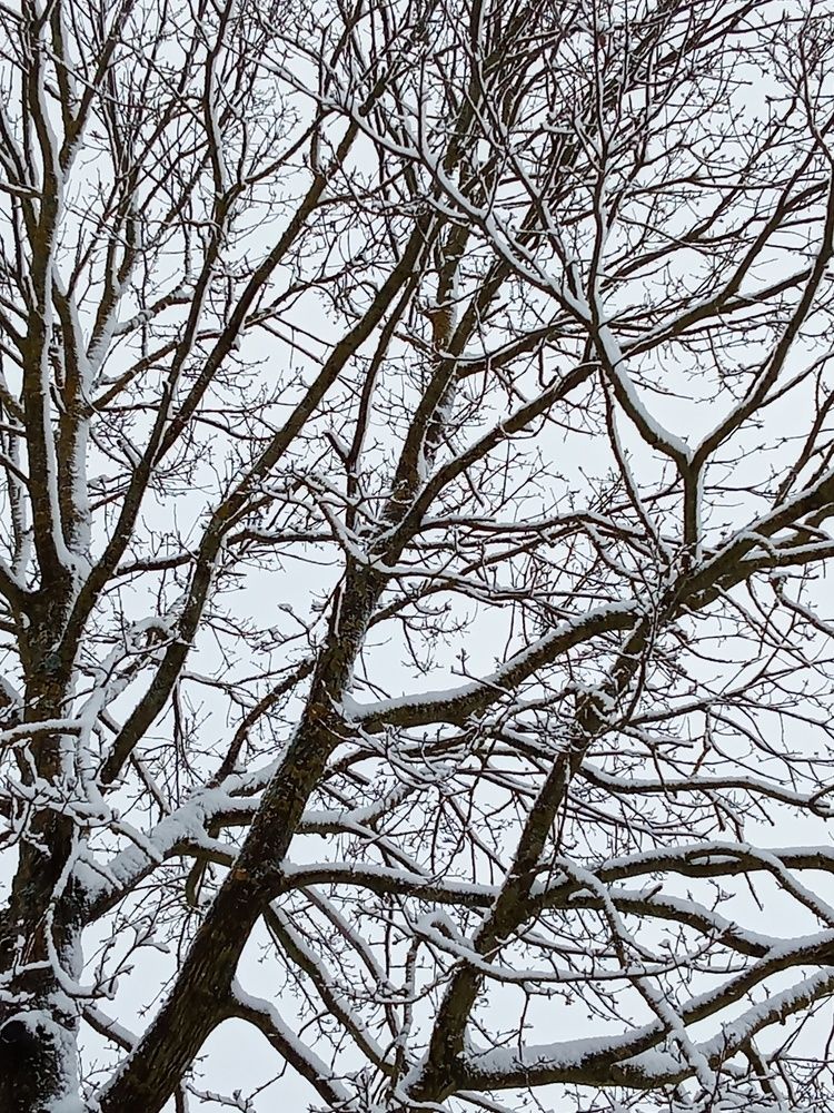 Photograph by Юлия Юлия