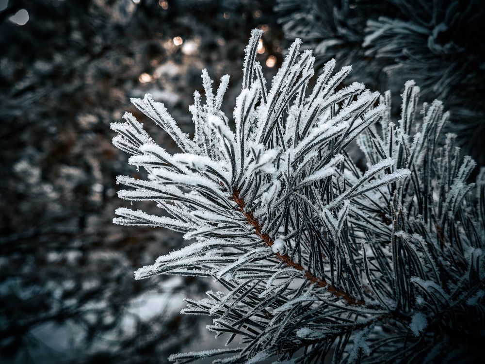 Photograph by Игорь Урывский