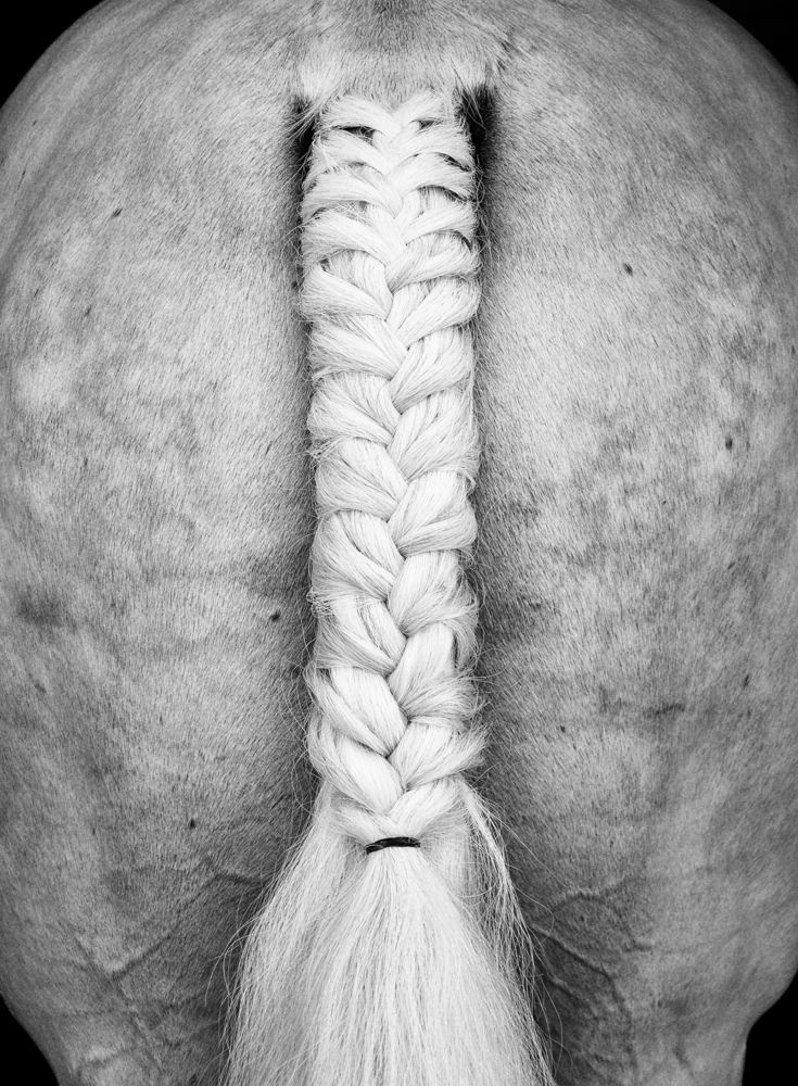 Photograph by Dragan Leles