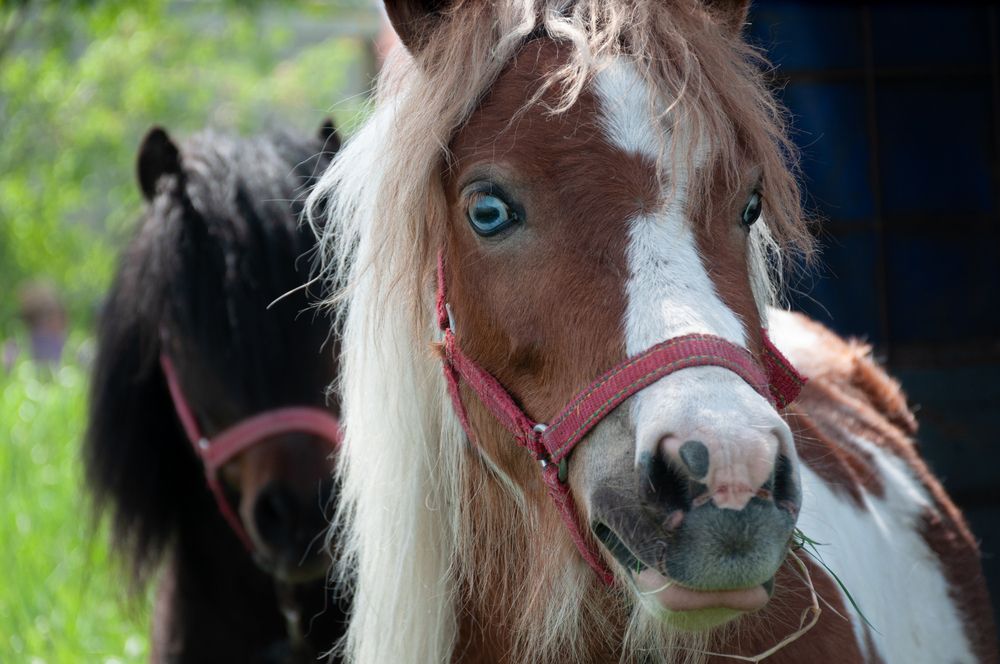 Photograph by Dragan Leles