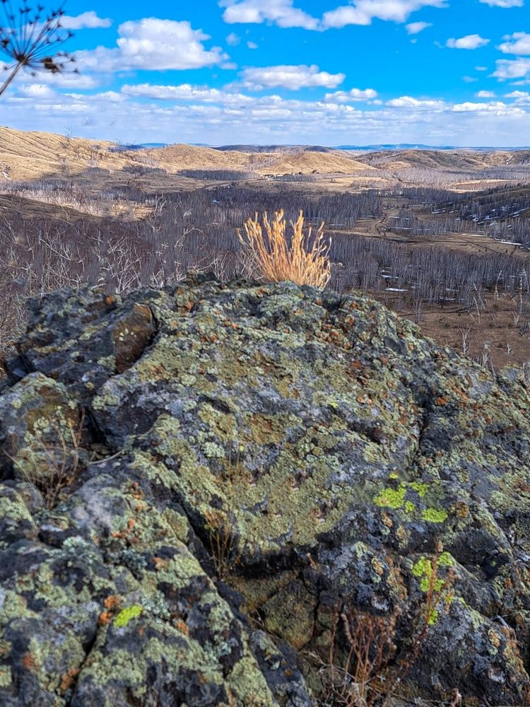 Photograph by Ирина Вдовенко