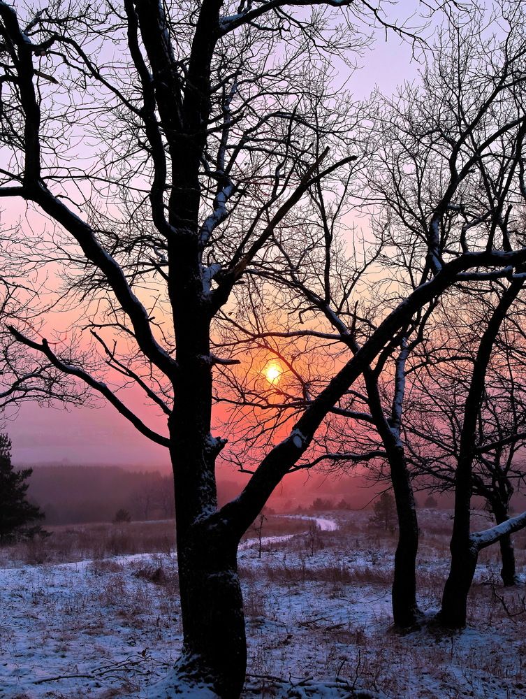 Photograph by Серёга Ануфриев