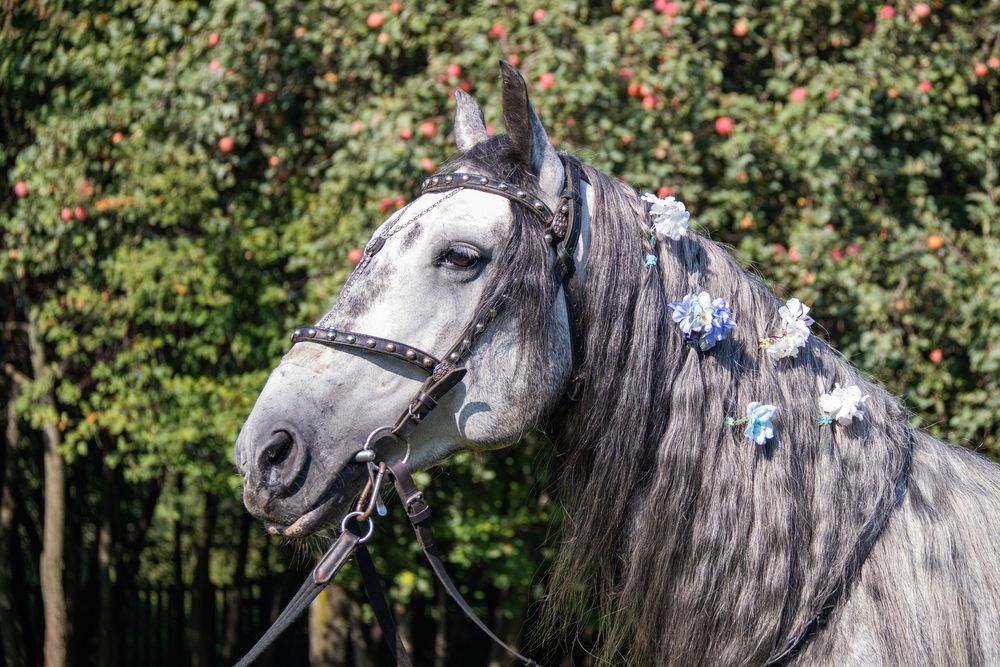 Photograph by Анастасия Григорян