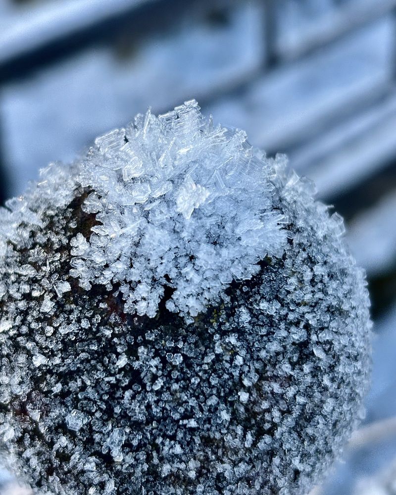 Photograph by Титаренко Людмила